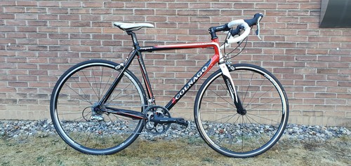Colnago primavera rennrad - colnago,