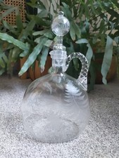 Klarglas Farne Pflanze