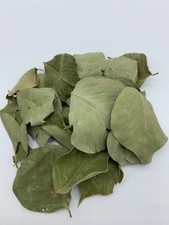 Sidr Blätter 20g - Ziziphus Blätter 100% natürlich für Ruqya ورق السدر