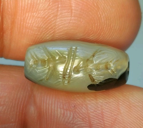 Ancient rare south - ancient,