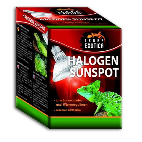 Halogen sunspot 75 100w - sunspot, 35/50/75/100w