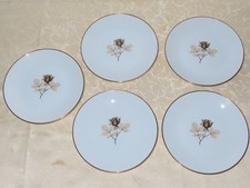 Vintage Rosenthal Kuchenteller