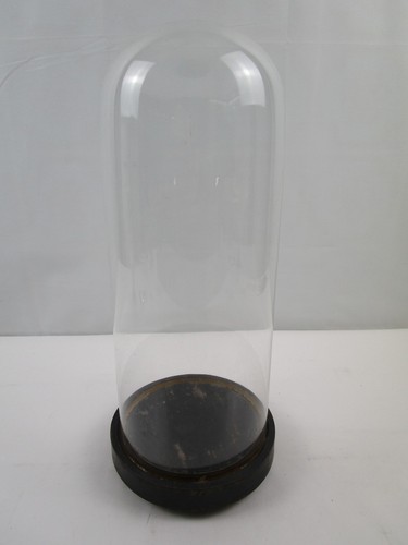 Glasdom stolp mit - /, holzsockel