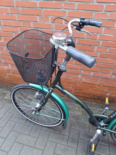 Gut erhaltenes gazelle - erhaltenes, damen