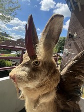 Handgefertigter Wolpertinger