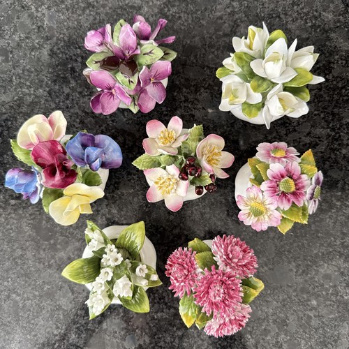 Royal albert blume - royal, des
