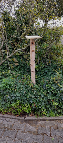 Vogelhausständer birke - vogelhausständer,