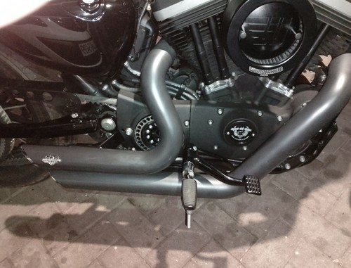 Vance hines thorcat - vance&hines, shortshots