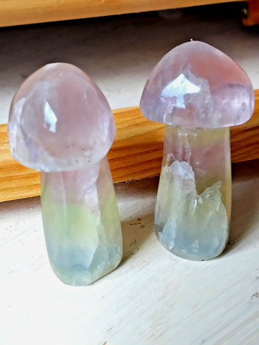 Pilze aus fluorite - 2, ❋
