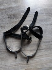 1 Paar Sporen mit Sporenriemen, Kieffer NX, mit abgerundetem Dorn Englischreiten