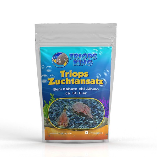 Triops beni kabuto ebi - ebi, albino