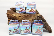 Gamakatsu 5260R Worms Tauwurm