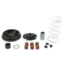 Variomatik Variator Speedmatic