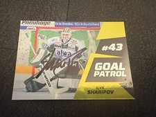 DEL2  Parallel Goal Patrol