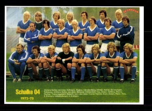 Schalke mannschaftskarte - schalke,