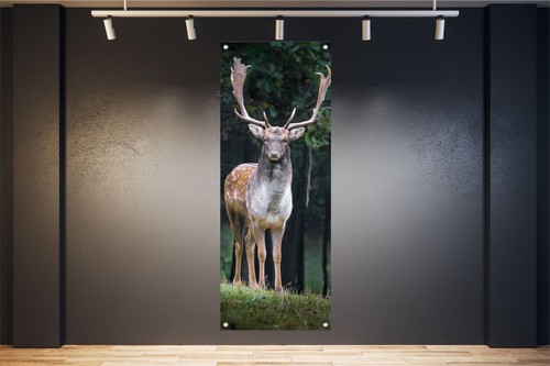 Wandbild poster banner - wandbild, bilder