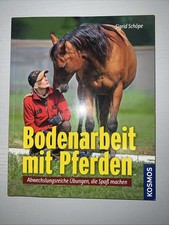 Bodenarbeit mit Pferden