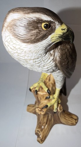 Goebel habicht vogel - goebel,