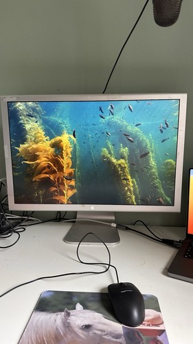 Cinema display zoll - display,