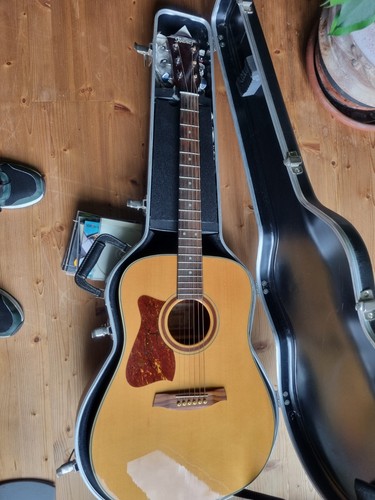 Ibanez 100 lnt - ibanez,