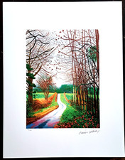 David Hockney -The Arrival of