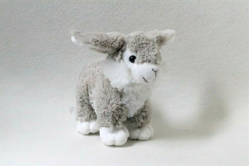 Happy people hase kaninchen - happy,