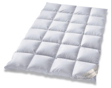 Typ Eiderdaune Silverstar 90/10 Daune Kl 1 warm leicht Ganzjahresdecke 135x200cm