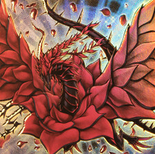 YuGiOh! Schwarzer Rosendrache DECK zur Auswahl.