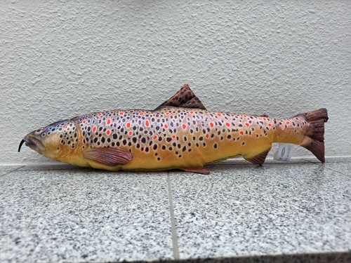 Kuschelfisch forelle 62cm fish - forelle,