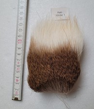 Reh Winter Fellstück 1