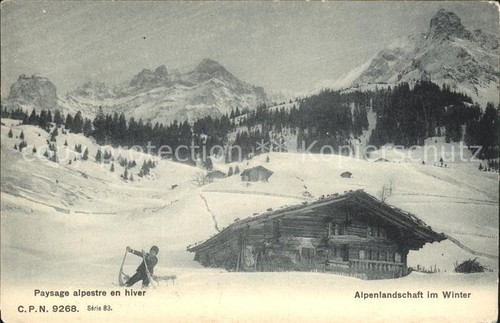 Schlitten schnee hornschlitten - schlitten,