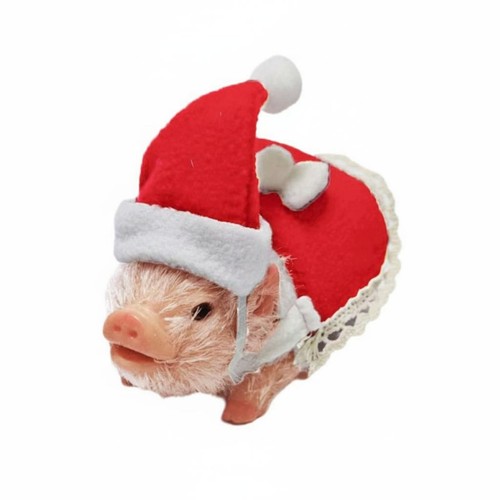 Silikon schweinchen - silikon,