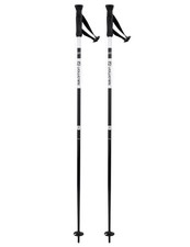 Neue Skistöcke SALOMON X