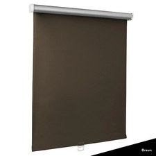 Springrollo Standard-Rollo