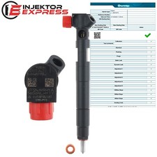 A6510702387 Delphi Injektor