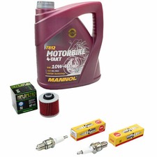 Inspektion Set Öl 4L für