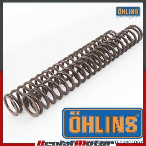 Suzuki gsxr 1000 2007 - , ohlins