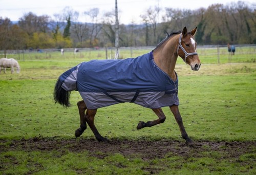 Pferde paddock outdoordecke - paddock,