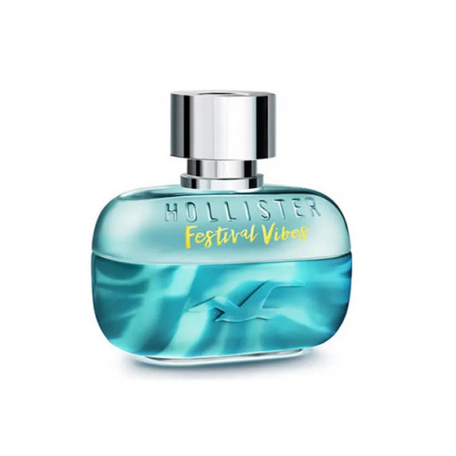 Hollister festival vibes him - hollister,