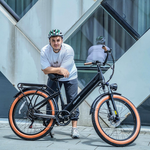 Mountainbike 48v 20ah - e-mountainbike,