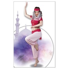 Damen harem tänzerin kostüm - damen,