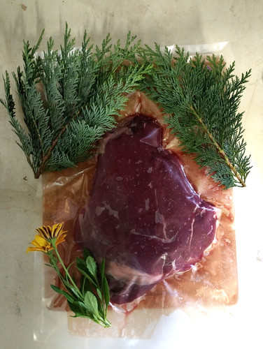 Damwild keule ohne knochen - damwild,