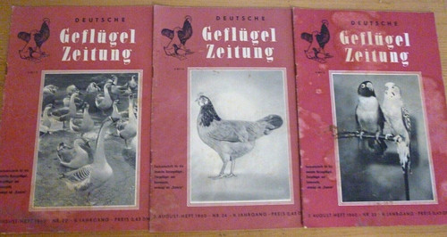 Ausgaben zeitschrift - 3,