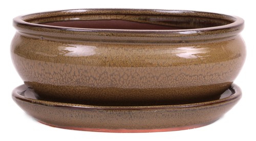 Bonsai schale oval - bonsai-schale, ×