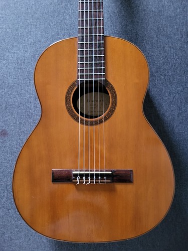 Giannini awn classic guitar - giannini,