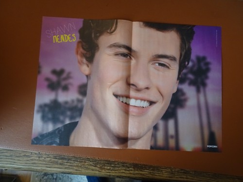 Popcorn poster shawn - popcorn,