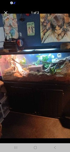 X12 x19 terrarium - 48''x12"x19", with
