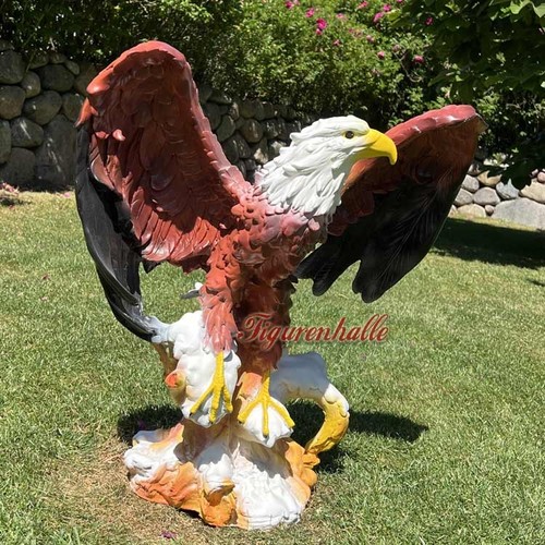 Seeadler greifvogel raubvogel - seeadler,