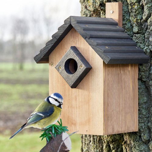 Nistkasten vogelhaus - nistkasten,