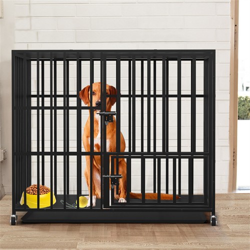 Transportbox hund welpe - transportbox,